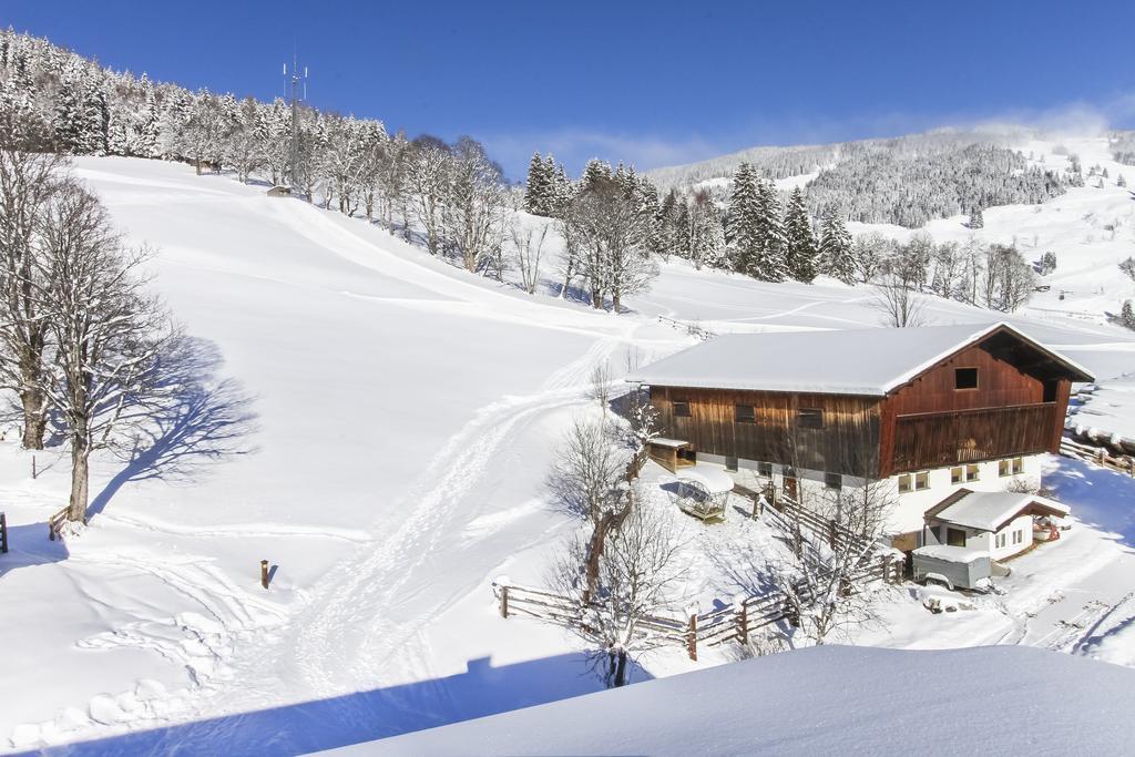 Eberharthof Lejlighed Saalbach-Hinterglemm Eksteriør billede